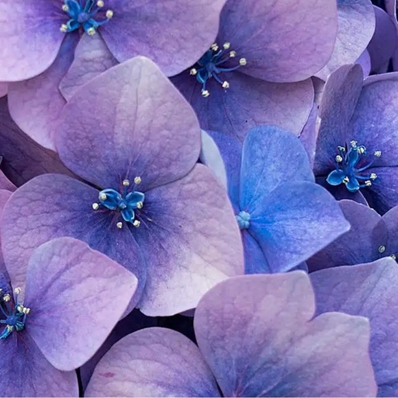 Hand Crafted Other - Love Spell By Victoria Secret Lotion Bar